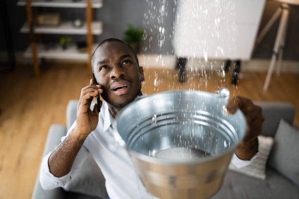 Best Water damage restoration near me  in Woodfin, NC