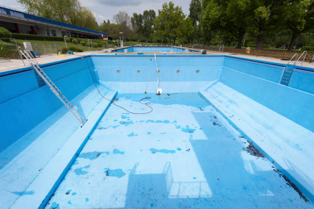 Best Flood damage cleanup  in Woodfin, NC