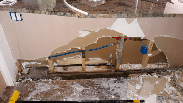 Best Flood damage cleanup  in Woodfin, NC
