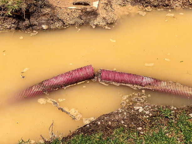 Woodfin, NC Water damage restoration Company